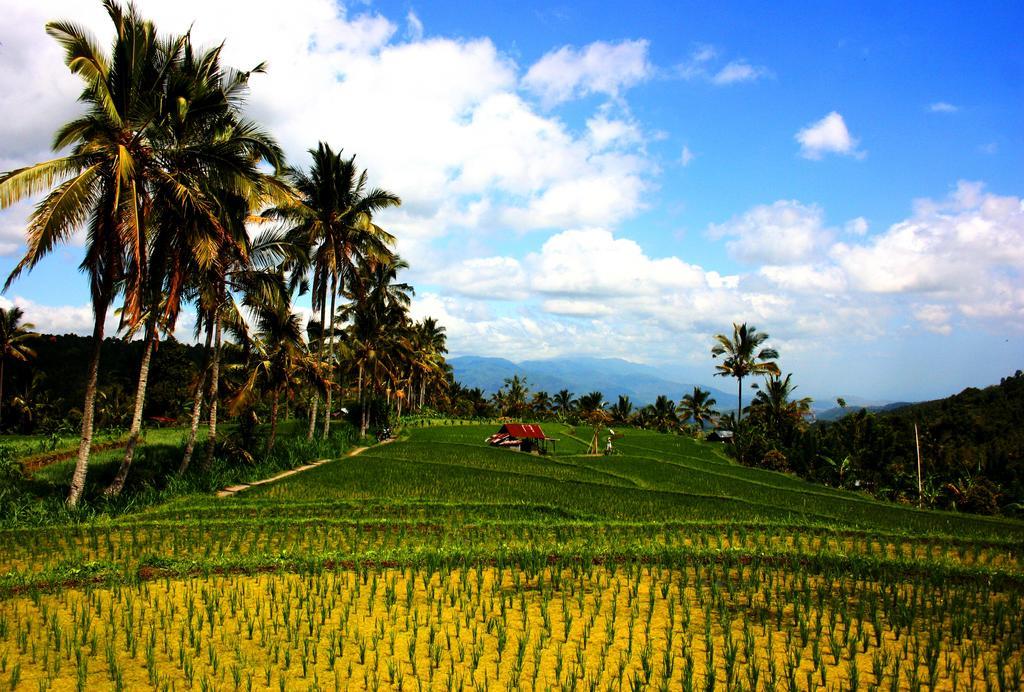 Puri Alam Bali Hotel Munduk Kültér fotó