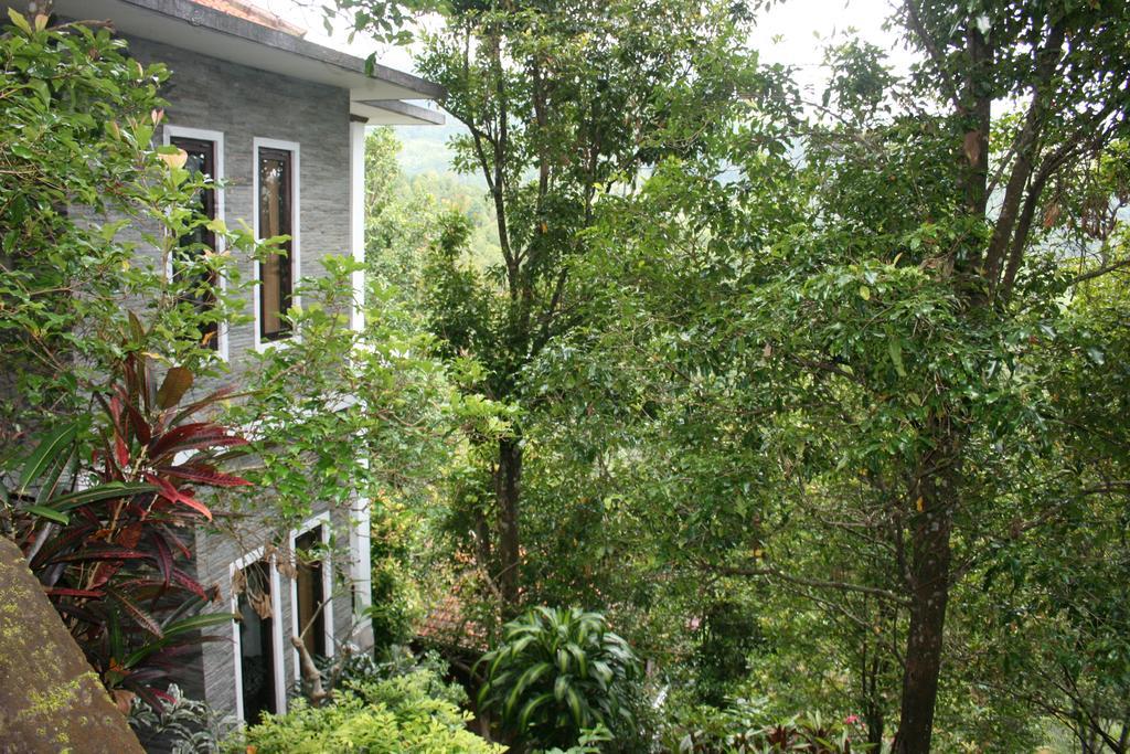 Puri Alam Bali Hotel Munduk Kültér fotó